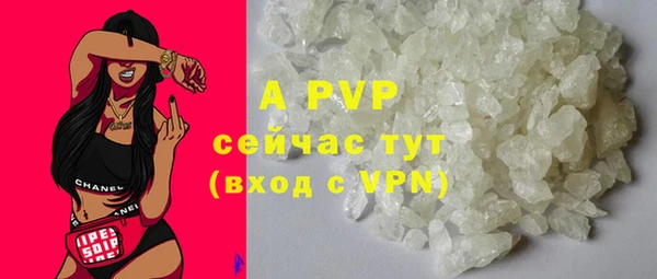 прущие грибы Богородицк
