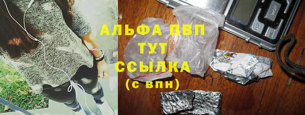 эйфоретик Богданович