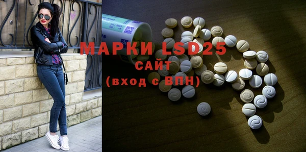 прущие грибы Богородицк