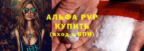 прущие грибы Богородицк