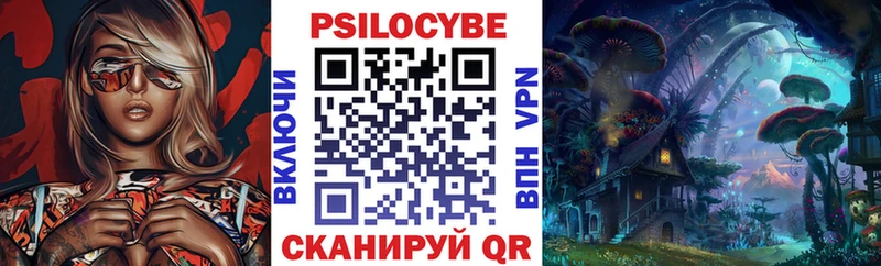 Псилоцибиновые грибы Cubensis  ссылка на мегу   Дзержинский 